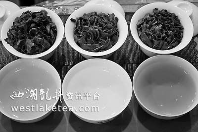 买铁观音秋茶 分清正 消 拖